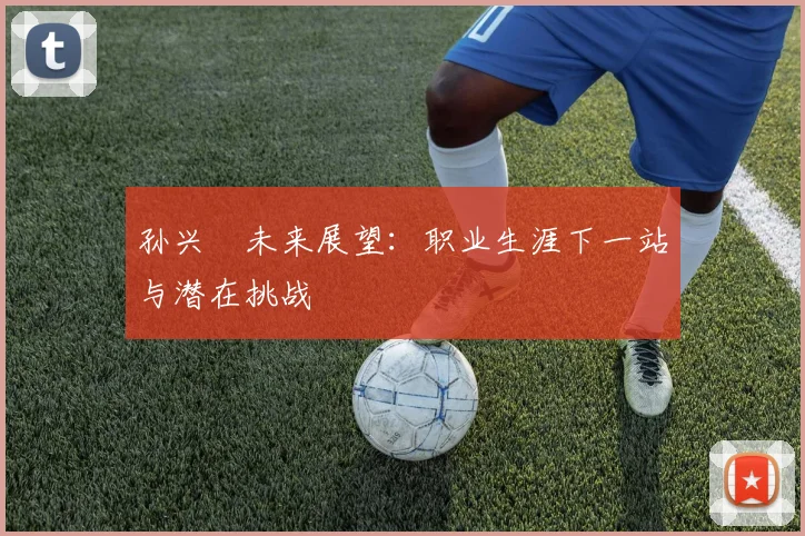 孙兴慜未来展望:职业生涯下一站与潜在挑战